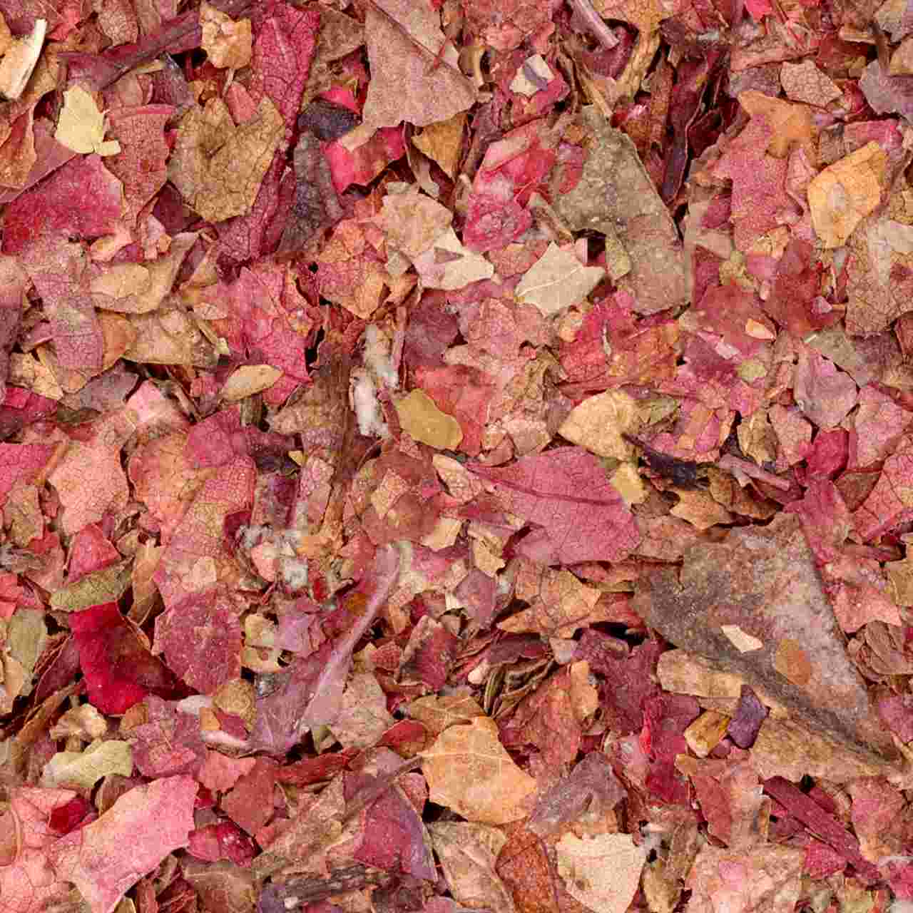 Druivenblad Rood van De Theefabriek, 1x 1 kg Druivenblad Rood van De Theefabriek, 1x 1 kg